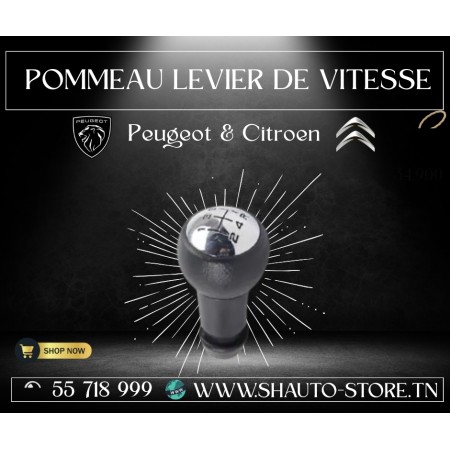 Pommeau de levier de vitesse Peugeot