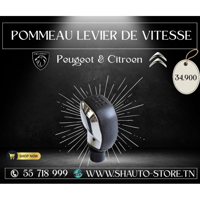 copy of Pommeau de levier de vitesse Peugeot/Citroën 2015+ argent