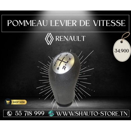 Pommeau de levier de vitesse Renault/Dacia