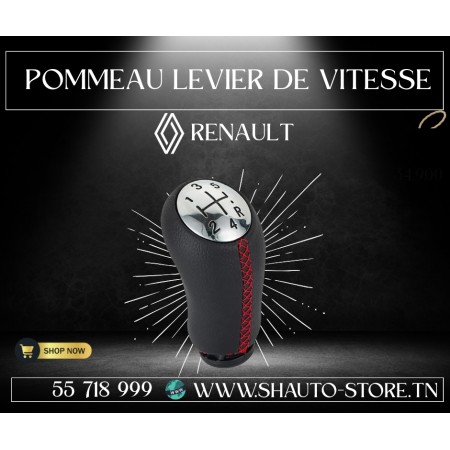 copy of Pommeau de levier de vitesse Renault&Dacia file rouge