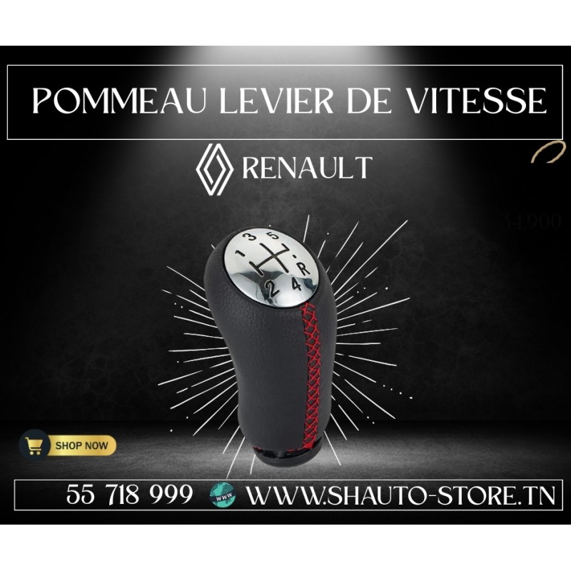 copy of Pommeau de levier de vitesse Renault&Dacia file rouge